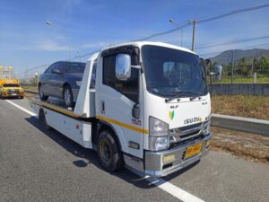 IMG 6953